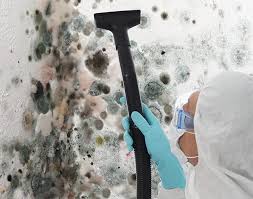 Best Air Quality Testing for Mold Spores  in Springdale, MD